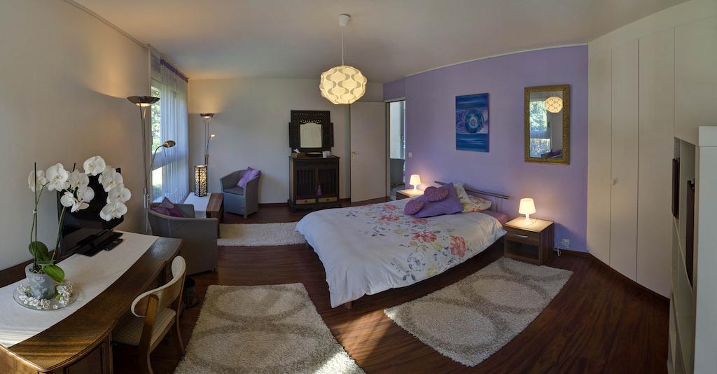 Villa Esprit3 Geneva Cameră foto